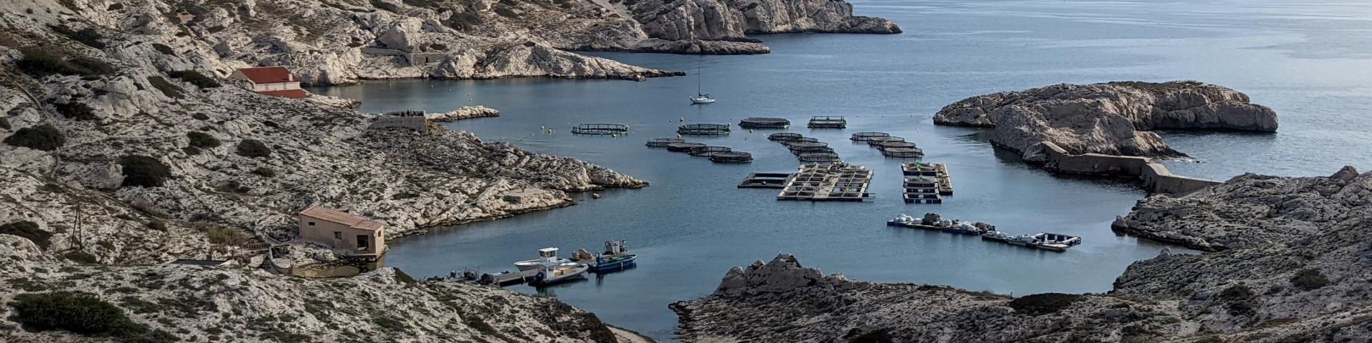 ferme aquacole au FRioul